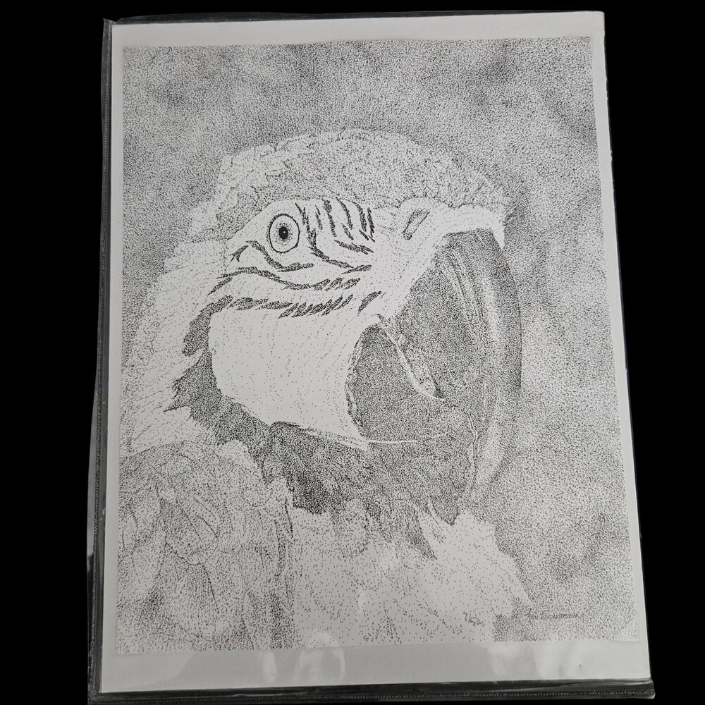 Jen Schripsema Macaw Pen & Ink Limited Edition Print Signed Wildlife Art
